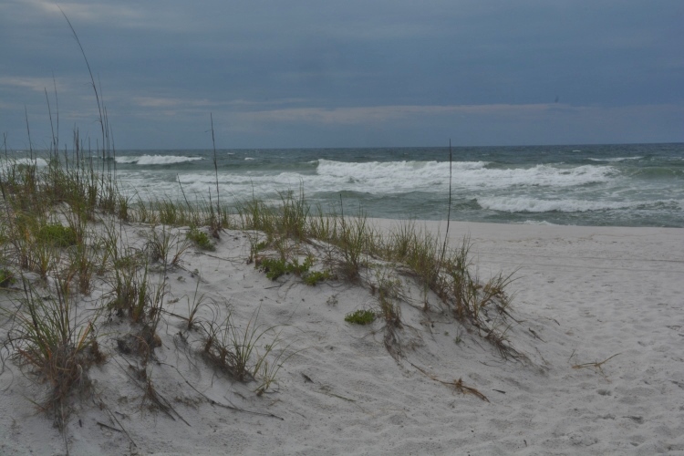 Pensacola beach